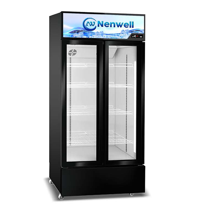 Double-door display cabinet